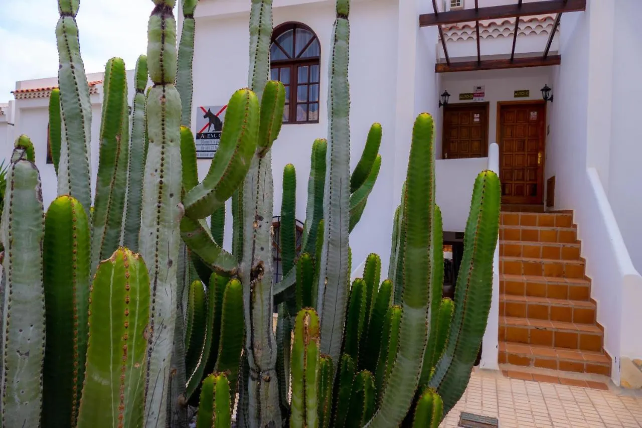 Las Bouganvillas 1 Bed Apartment In Costa Adeje